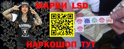 apvp Бийск