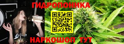 индика Берёзовский