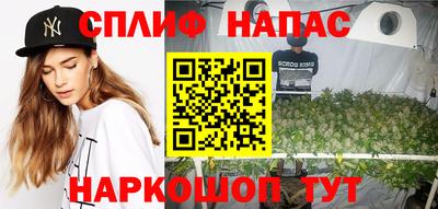 apvp Бийск