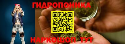 индика Берёзовский