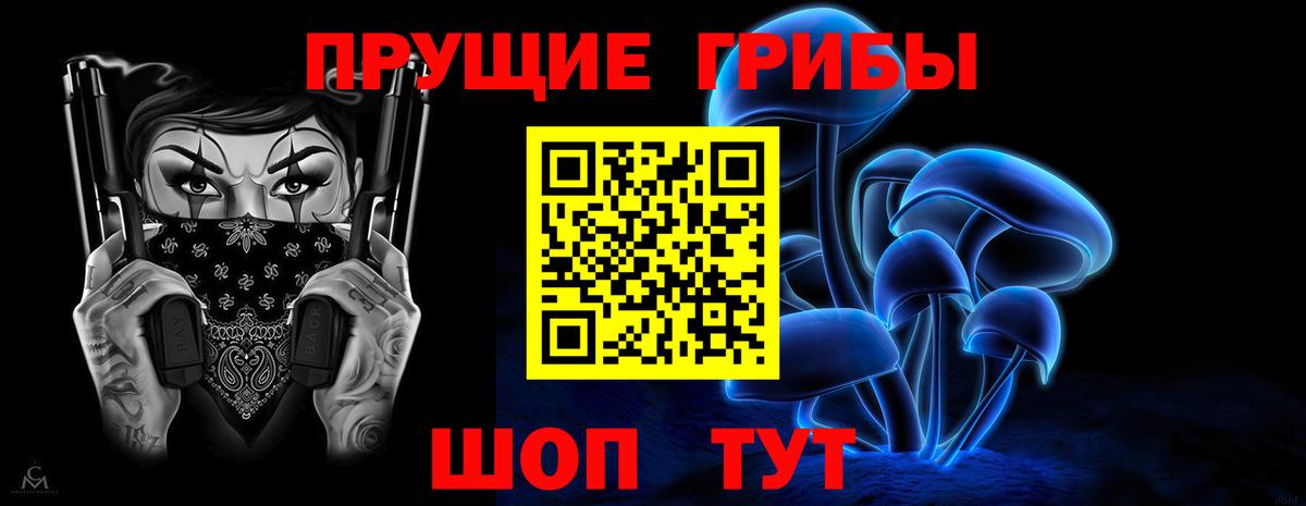 Галлюциногенные грибы Cubensis  Горячий Ключ 